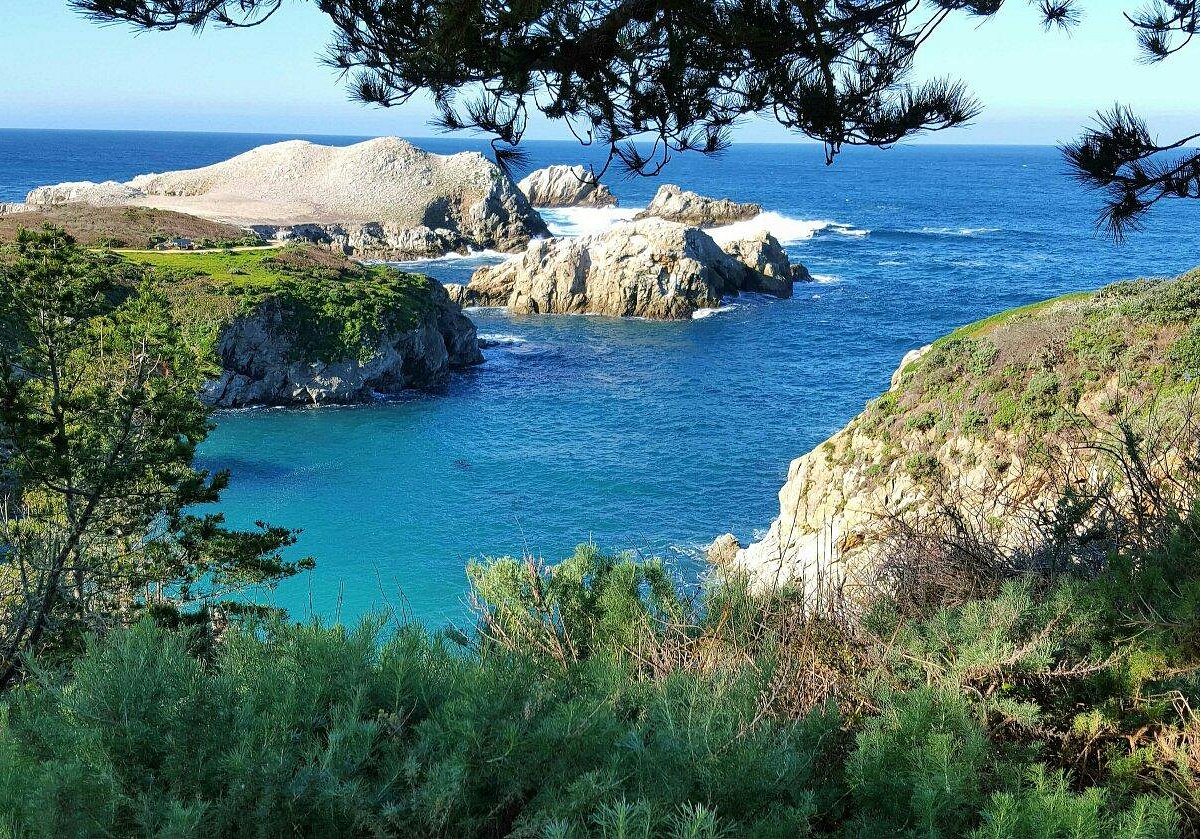 Point Lobos State Natural Reserve - Carmel Valley